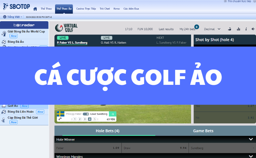 ca cuoc golf ao