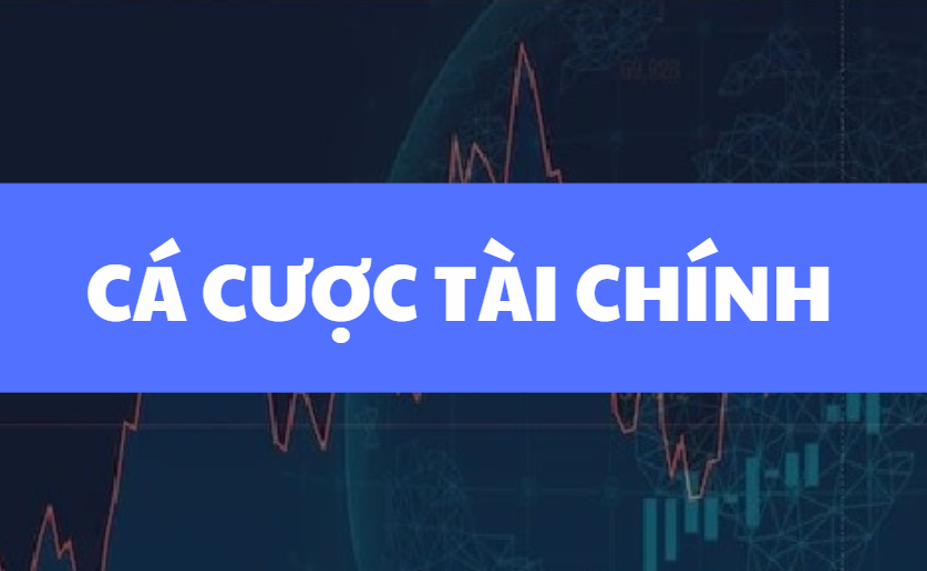 ca cuoc tai chinh