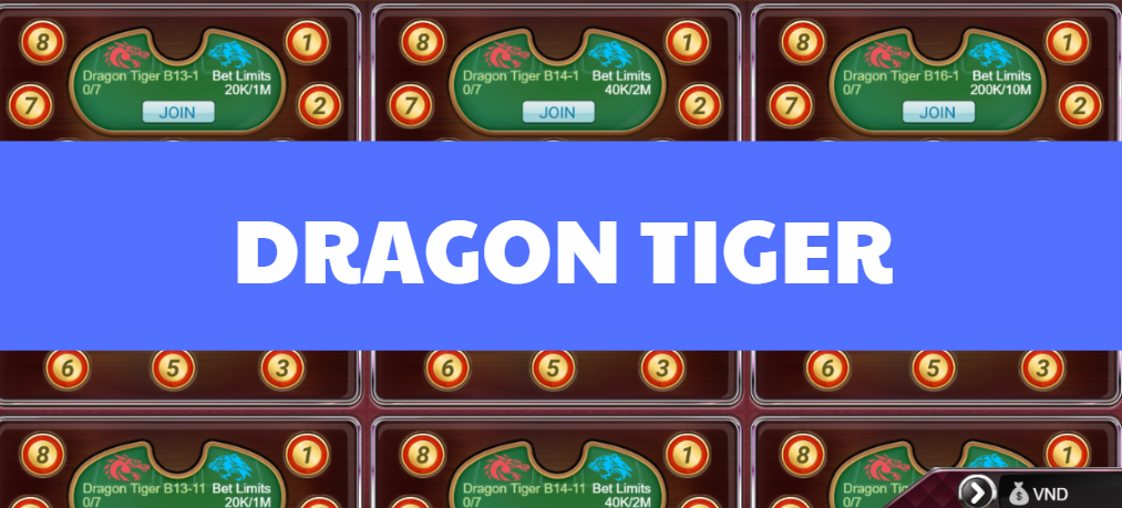 dragon tiger