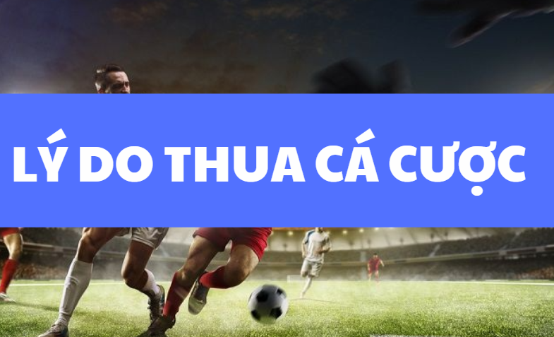 ly do thua ca cuoc