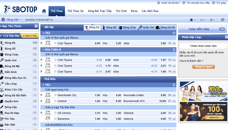 Trò chơi cá cược