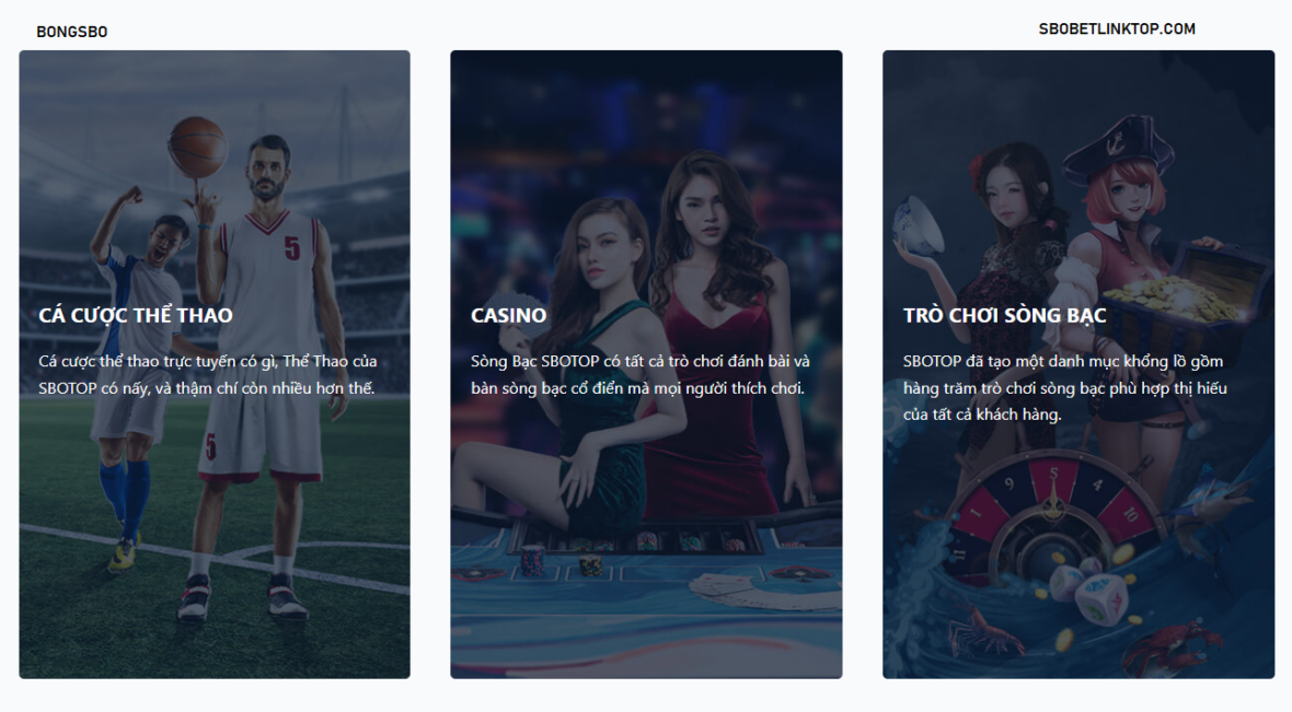 nha cai ca cuoc hang dau bongsbo