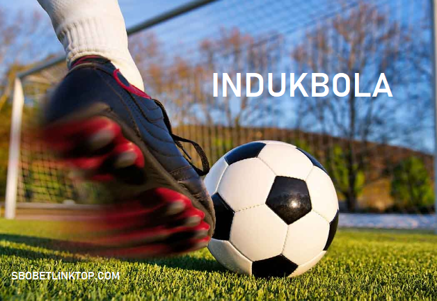 nha cai indukbola